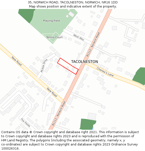 35, NORWICH ROAD, TACOLNESTON, NORWICH, NR16 1DD: Location map and indicative extent of plot