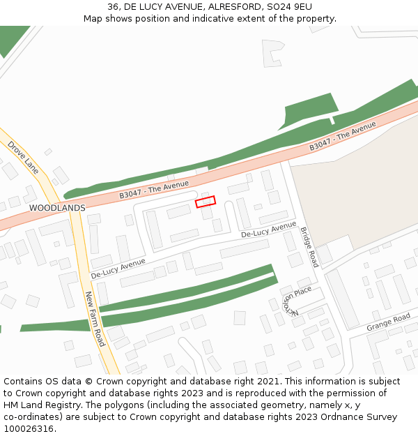 36, DE LUCY AVENUE, ALRESFORD, SO24 9EU: Location map and indicative extent of plot