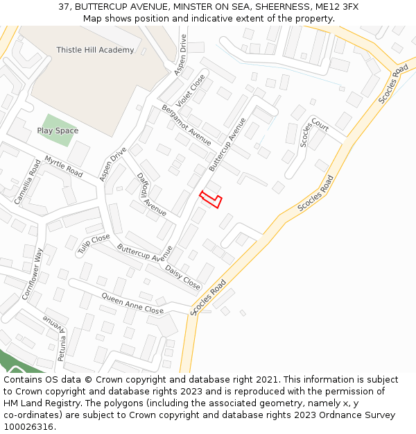 37, BUTTERCUP AVENUE, MINSTER ON SEA, SHEERNESS, ME12 3FX: Location map and indicative extent of plot
