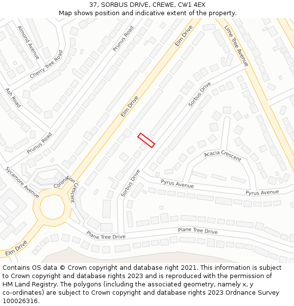 37, SORBUS DRIVE, CREWE, CW1 4EX: Location map and indicative extent of plot
