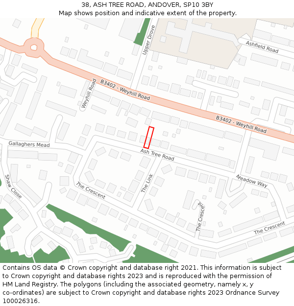 38, ASH TREE ROAD, ANDOVER, SP10 3BY: Location map and indicative extent of plot