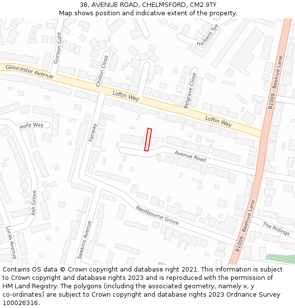 38, AVENUE ROAD, CHELMSFORD, CM2 9TY: Location map and indicative extent of plot
