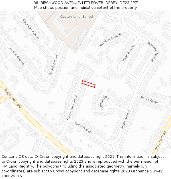 38, BIRCHWOOD AVENUE, LITTLEOVER, DERBY, DE23 1PZ: Location map and indicative extent of plot
