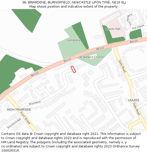 38, BRIARDENE, BURNOPFIELD, NEWCASTLE UPON TYNE, NE16 6LJ: Location map and indicative extent of plot