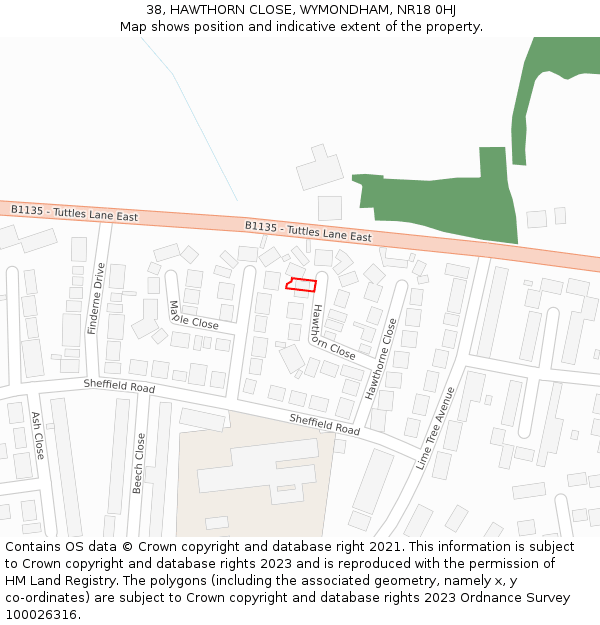38, HAWTHORN CLOSE, WYMONDHAM, NR18 0HJ: Location map and indicative extent of plot