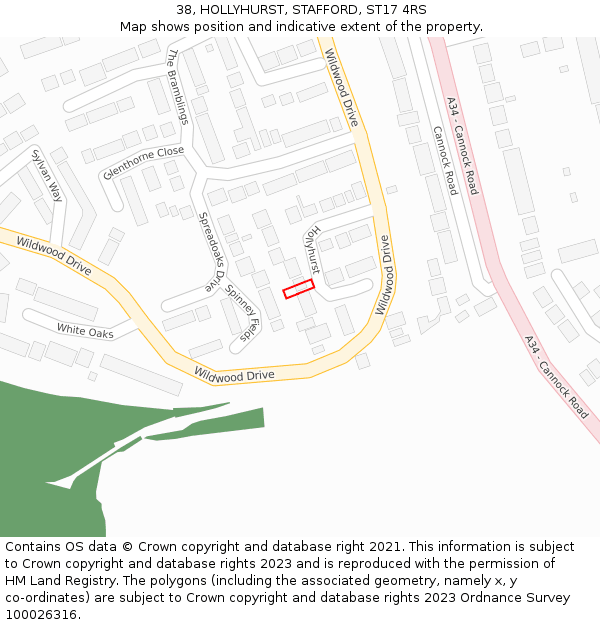 38, HOLLYHURST, STAFFORD, ST17 4RS: Location map and indicative extent of plot