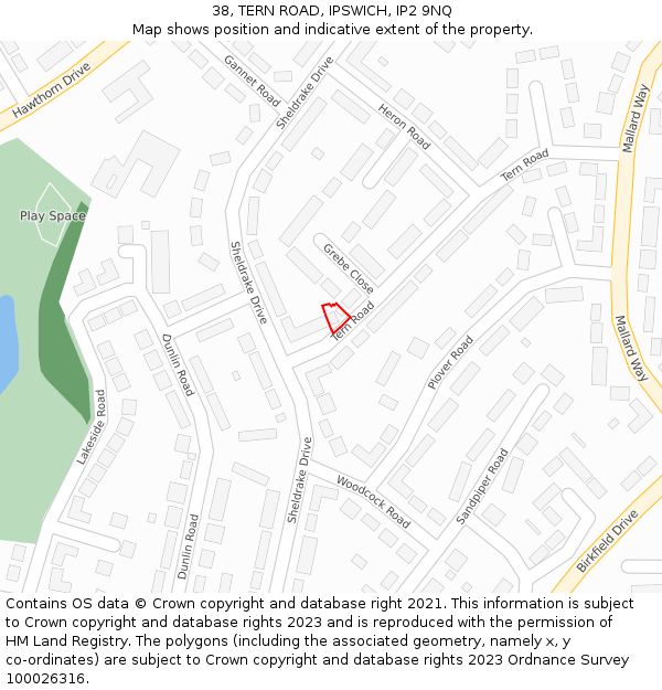 38, TERN ROAD, IPSWICH, IP2 9NQ: Location map and indicative extent of plot