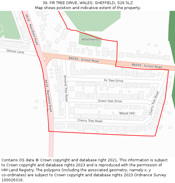 39, FIR TREE DRIVE, WALES, SHEFFIELD, S26 5LZ: Location map and indicative extent of plot