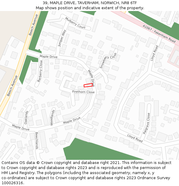 39, MAPLE DRIVE, TAVERHAM, NORWICH, NR8 6TF: Location map and indicative extent of plot