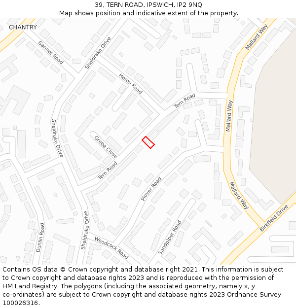 39, TERN ROAD, IPSWICH, IP2 9NQ: Location map and indicative extent of plot