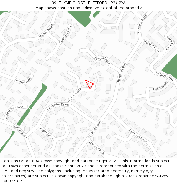 39, THYME CLOSE, THETFORD, IP24 2YA: Location map and indicative extent of plot
