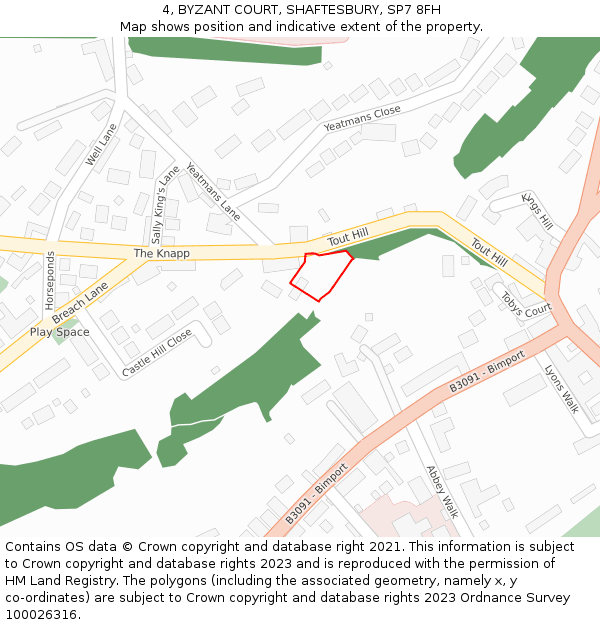4, BYZANT COURT, SHAFTESBURY, SP7 8FH: Location map and indicative extent of plot