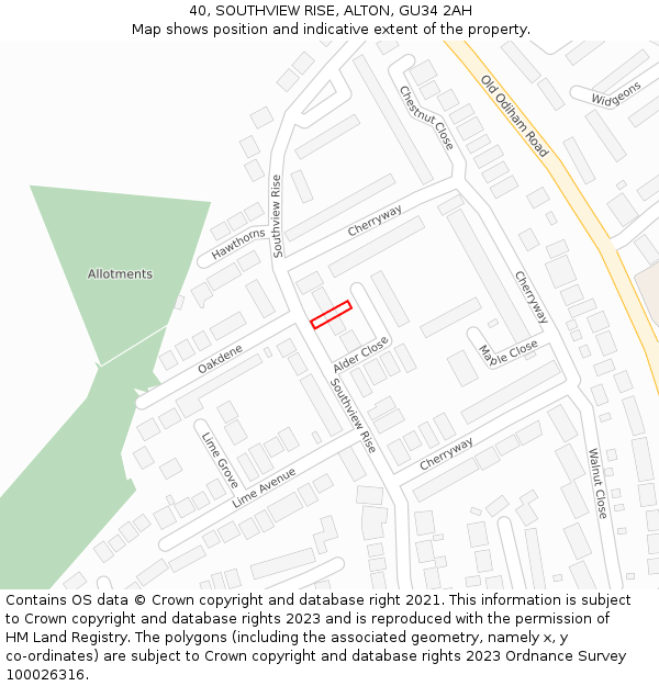 40, SOUTHVIEW RISE, ALTON, GU34 2AH: Location map and indicative extent of plot