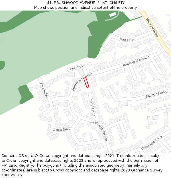 41, BRUSHWOOD AVENUE, FLINT, CH6 5TY: Location map and indicative extent of plot