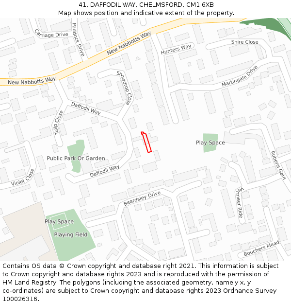41, DAFFODIL WAY, CHELMSFORD, CM1 6XB: Location map and indicative extent of plot