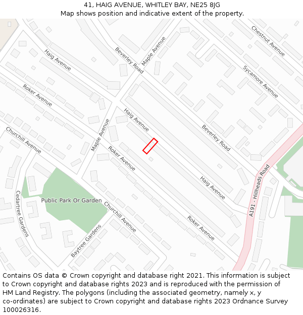 41, HAIG AVENUE, WHITLEY BAY, NE25 8JG: Location map and indicative extent of plot
