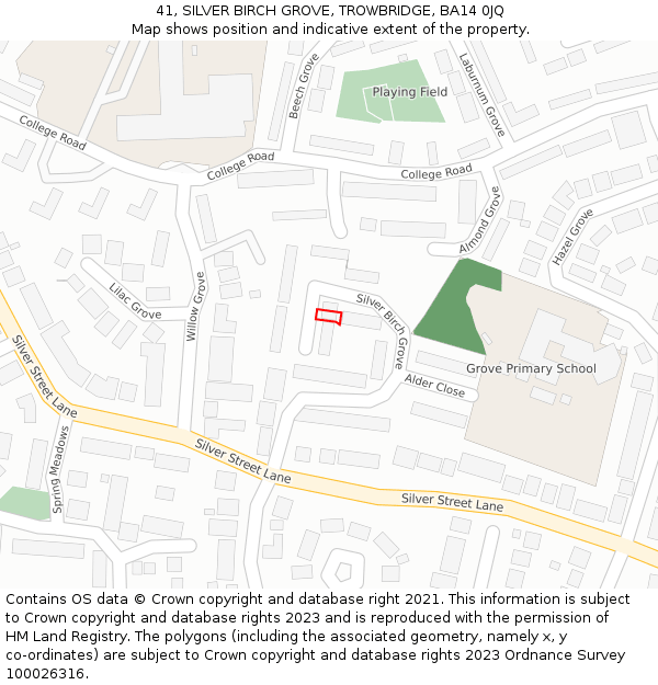 41, SILVER BIRCH GROVE, TROWBRIDGE, BA14 0JQ: Location map and indicative extent of plot