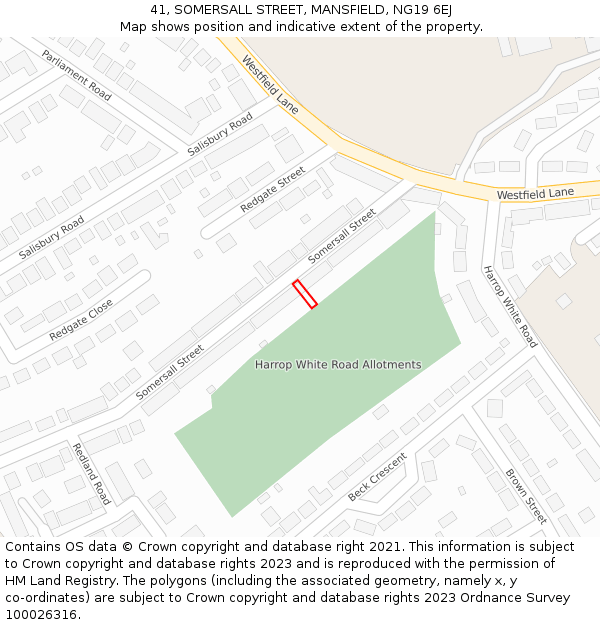 41, SOMERSALL STREET, MANSFIELD, NG19 6EJ: Location map and indicative extent of plot