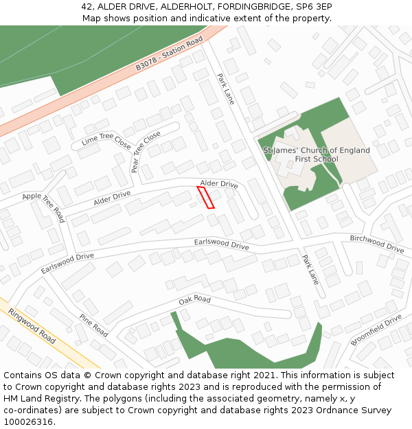 42, ALDER DRIVE, ALDERHOLT, FORDINGBRIDGE, SP6 3EP: Location map and indicative extent of plot