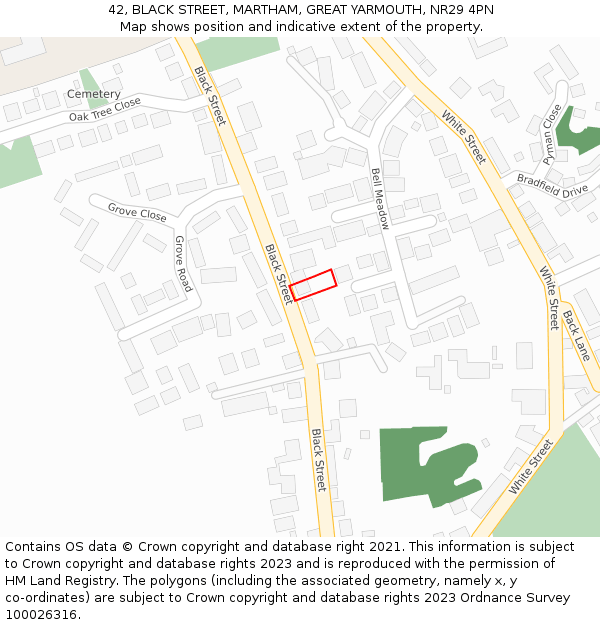 42, BLACK STREET, MARTHAM, GREAT YARMOUTH, NR29 4PN: Location map and indicative extent of plot