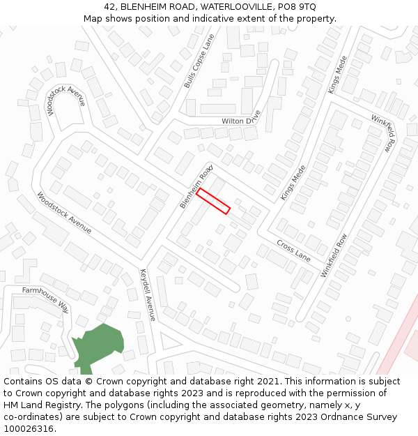 42, BLENHEIM ROAD, WATERLOOVILLE, PO8 9TQ: Location map and indicative extent of plot