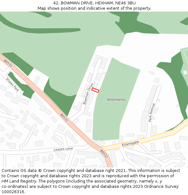 42, BOWMAN DRIVE, HEXHAM, NE46 3BU: Location map and indicative extent of plot