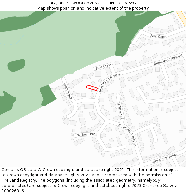 42, BRUSHWOOD AVENUE, FLINT, CH6 5YG: Location map and indicative extent of plot