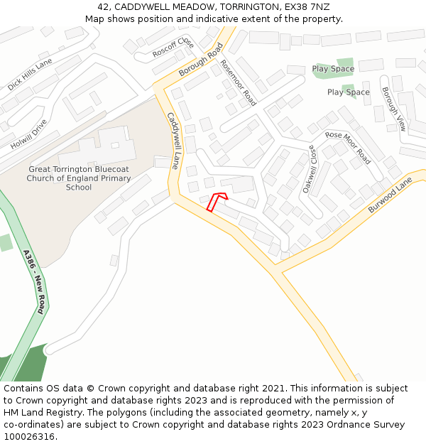 42, CADDYWELL MEADOW, TORRINGTON, EX38 7NZ: Location map and indicative extent of plot
