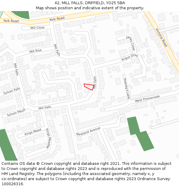 42, MILL FALLS, DRIFFIELD, YO25 5BA: Location map and indicative extent of plot