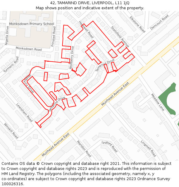 42, TAMARIND DRIVE, LIVERPOOL, L11 1JQ: Location map and indicative extent of plot
