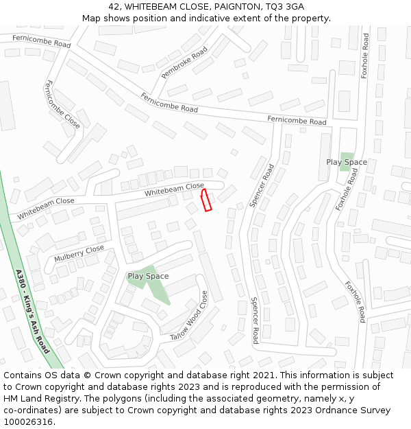 42, WHITEBEAM CLOSE, PAIGNTON, TQ3 3GA: Location map and indicative extent of plot