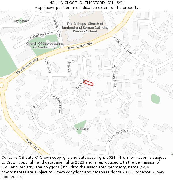43, LILY CLOSE, CHELMSFORD, CM1 6YN: Location map and indicative extent of plot