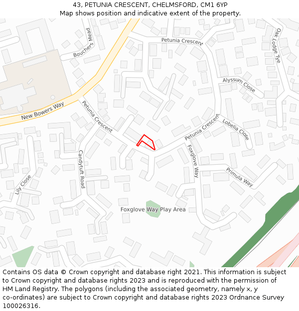 43, PETUNIA CRESCENT, CHELMSFORD, CM1 6YP: Location map and indicative extent of plot