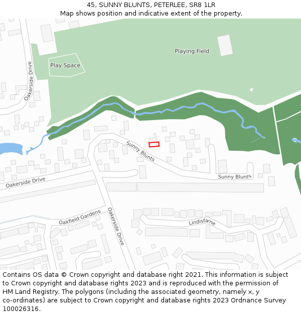 45, SUNNY BLUNTS, PETERLEE, SR8 1LR: Location map and indicative extent of plot