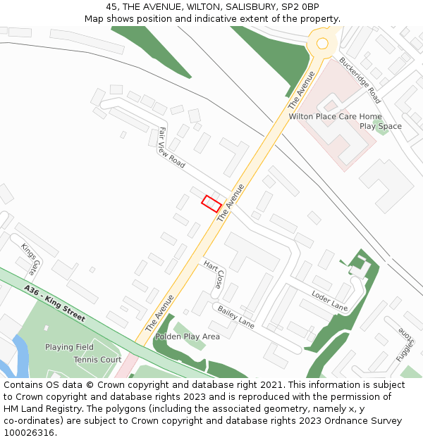 45, THE AVENUE, WILTON, SALISBURY, SP2 0BP: Location map and indicative extent of plot