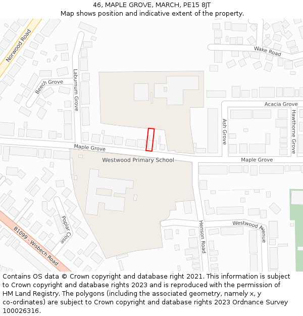 46, MAPLE GROVE, MARCH, PE15 8JT: Location map and indicative extent of plot