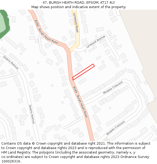 47, BURGH HEATH ROAD, EPSOM, KT17 4LY: Location map and indicative extent of plot