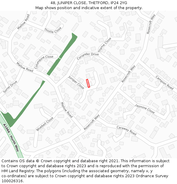 48, JUNIPER CLOSE, THETFORD, IP24 2YG: Location map and indicative extent of plot