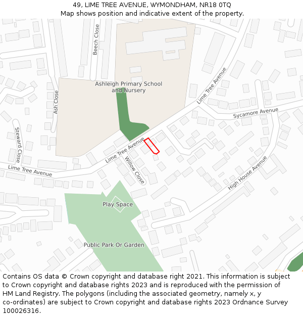 49, LIME TREE AVENUE, WYMONDHAM, NR18 0TQ: Location map and indicative extent of plot