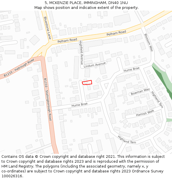 5, MCKENZIE PLACE, IMMINGHAM, DN40 1NU: Location map and indicative extent of plot