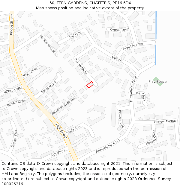 50, TERN GARDENS, CHATTERIS, PE16 6DX: Location map and indicative extent of plot