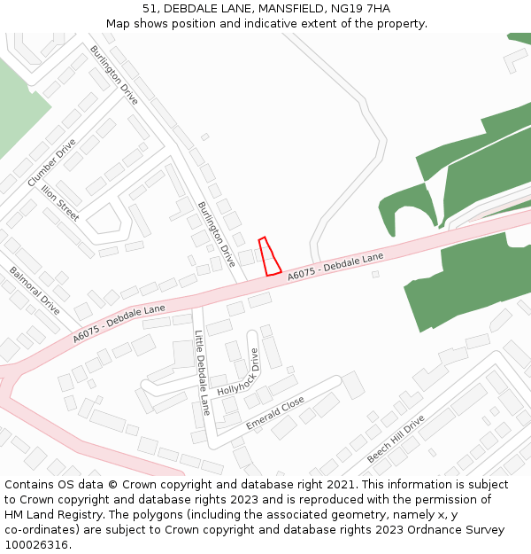 51, DEBDALE LANE, MANSFIELD, NG19 7HA: Location map and indicative extent of plot