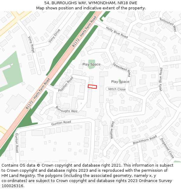 54, BURROUGHS WAY, WYMONDHAM, NR18 0WE: Location map and indicative extent of plot