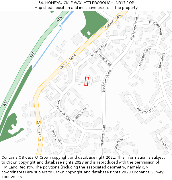 54, HONEYSUCKLE WAY, ATTLEBOROUGH, NR17 1QP: Location map and indicative extent of plot