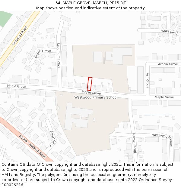 54, MAPLE GROVE, MARCH, PE15 8JT: Location map and indicative extent of plot