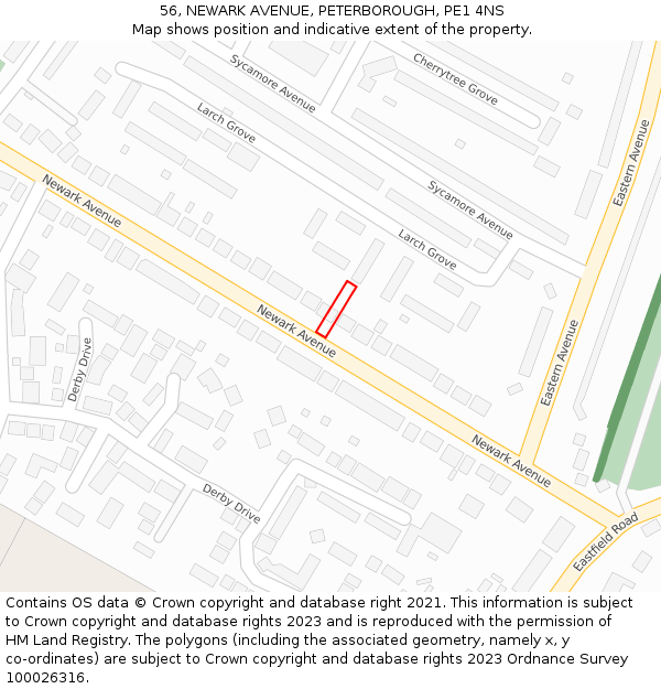 56, NEWARK AVENUE, PETERBOROUGH, PE1 4NS: Location map and indicative extent of plot