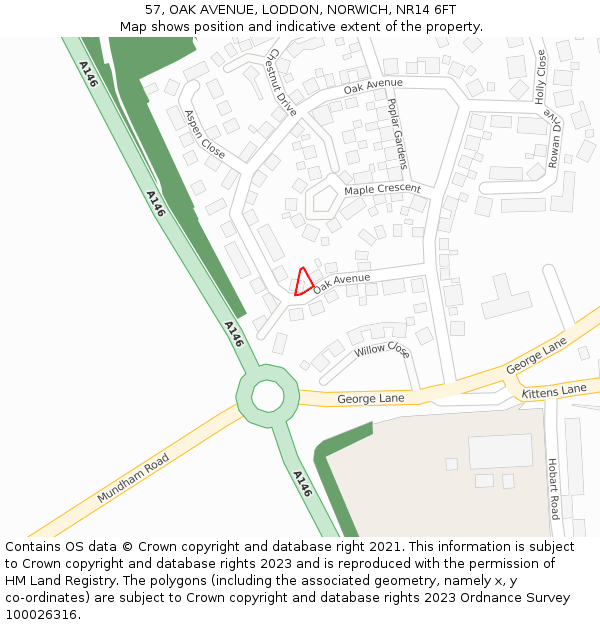 57, OAK AVENUE, LODDON, NORWICH, NR14 6FT: Location map and indicative extent of plot