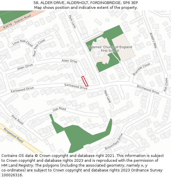 58, ALDER DRIVE, ALDERHOLT, FORDINGBRIDGE, SP6 3EP: Location map and indicative extent of plot