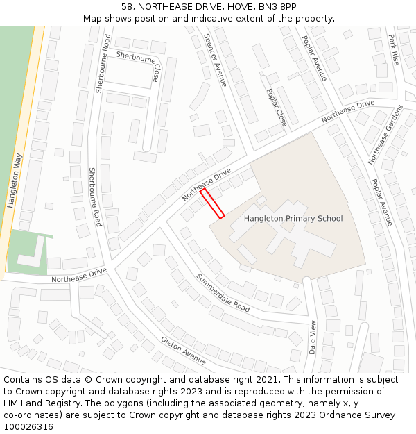 58, NORTHEASE DRIVE, HOVE, BN3 8PP: Location map and indicative extent of plot