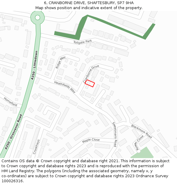 6, CRANBORNE DRIVE, SHAFTESBURY, SP7 9HA: Location map and indicative extent of plot